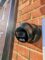 CCTV anpr hikvision barrier gate installers alarm london essex hertfordshire kent south east